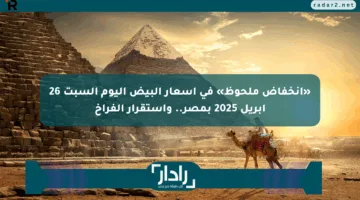 «انخفاض ملحوظ» في أسعار البيض اليوم السبت 26 أبريل 2025 بمصر.. واستقرار الفراخ